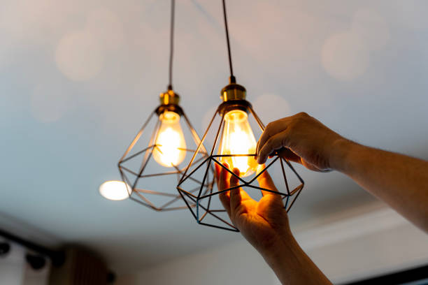 Best Electric Panel Repair  in Princeton, TX