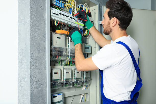 Best Ceiling Fan Installation Electrician  in Princeton, TX